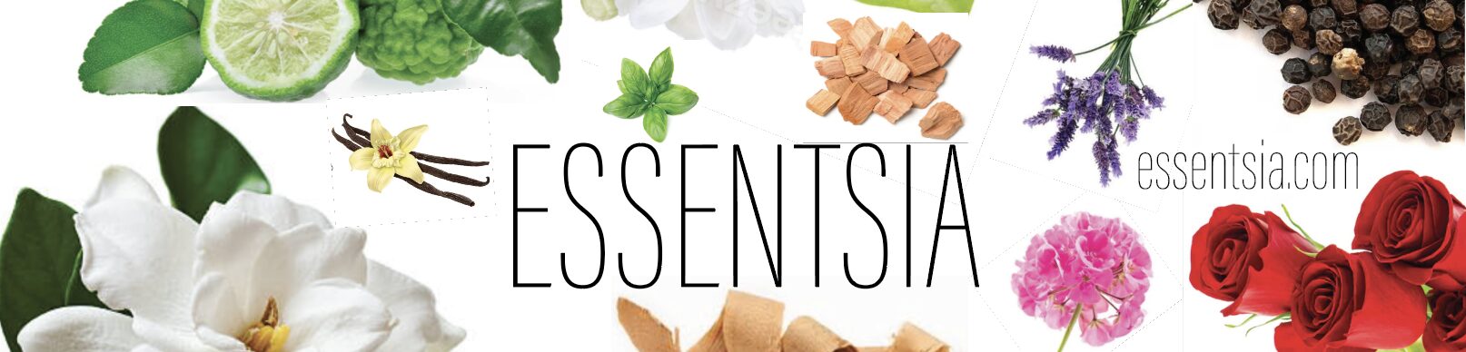 Essentsia Web Banner